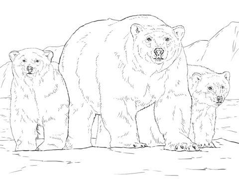 Polar Bear With Two Cubs Coloring Page